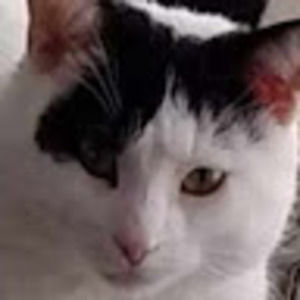 Meet your Posher, Joanne